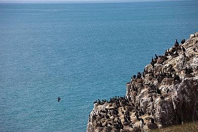 新《彩六：围攻》反作弊上线：主机连键鼠提高延迟